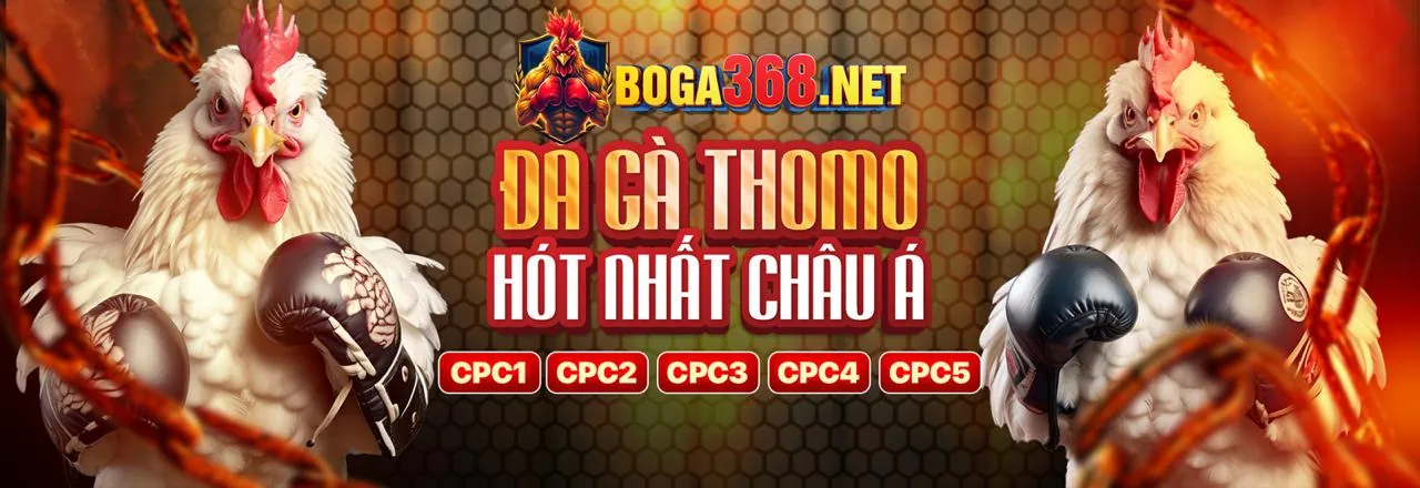 Hình ảnh tin tức tổng hợp về cá cược trực tuyến